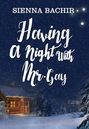 Having a Night with Mr. Gay by Sienna Bachir