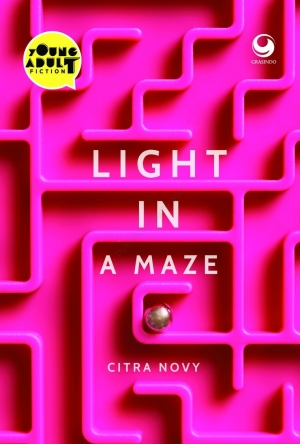 Light In A Maze By Citra Novy