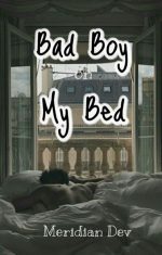 Bad Boy On My Bed By Meridian Dev