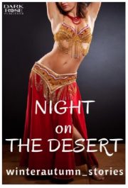 Night On The Desert By Winterautumn Stories