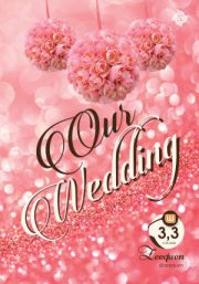 Our Wedding By Zeequen