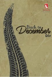 Back To December By Diy