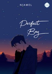 Perfect Boy By Niamel