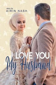 I Love You My Husband By Airin Nash