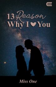 13 Reason Why I Love You By Miss One