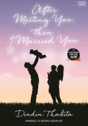 After Meeting You, Then I Married You By Dindin Thabita