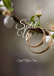 Split Up By Septi Nofia Sari