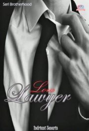 Love Lawyer By Indriani Sonaris