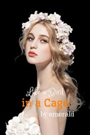 Like A Bird In A Cage By Emerald