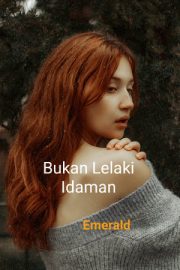 Bukan Lelaki Idaman By Emerald