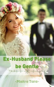 Ex Husband, Please Be Gentle By Maitra Tara