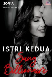 Istri Kedua Sang Billionaire By Soffia