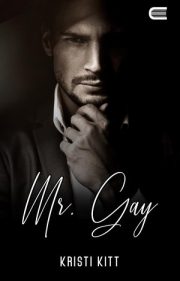 Mr. Gay By Kristi Kitt