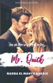 Mr. Quick By Salinel