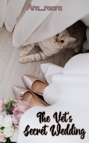 The Vet’s Secret Wedding By Ara Raara