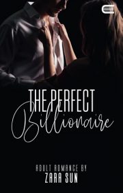 The Perfect Billionaire By Zara Sun