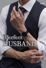 Perfect Husband By Indriani S