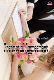 Prenuptial Agreement By Ainiileni