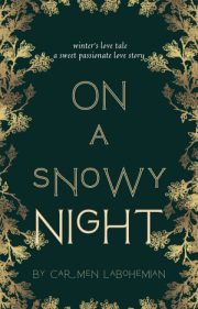 On A Snowy Night By Carmen Labohemian