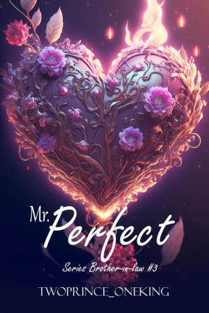 Mr. Perfect By Twoprince Oneking